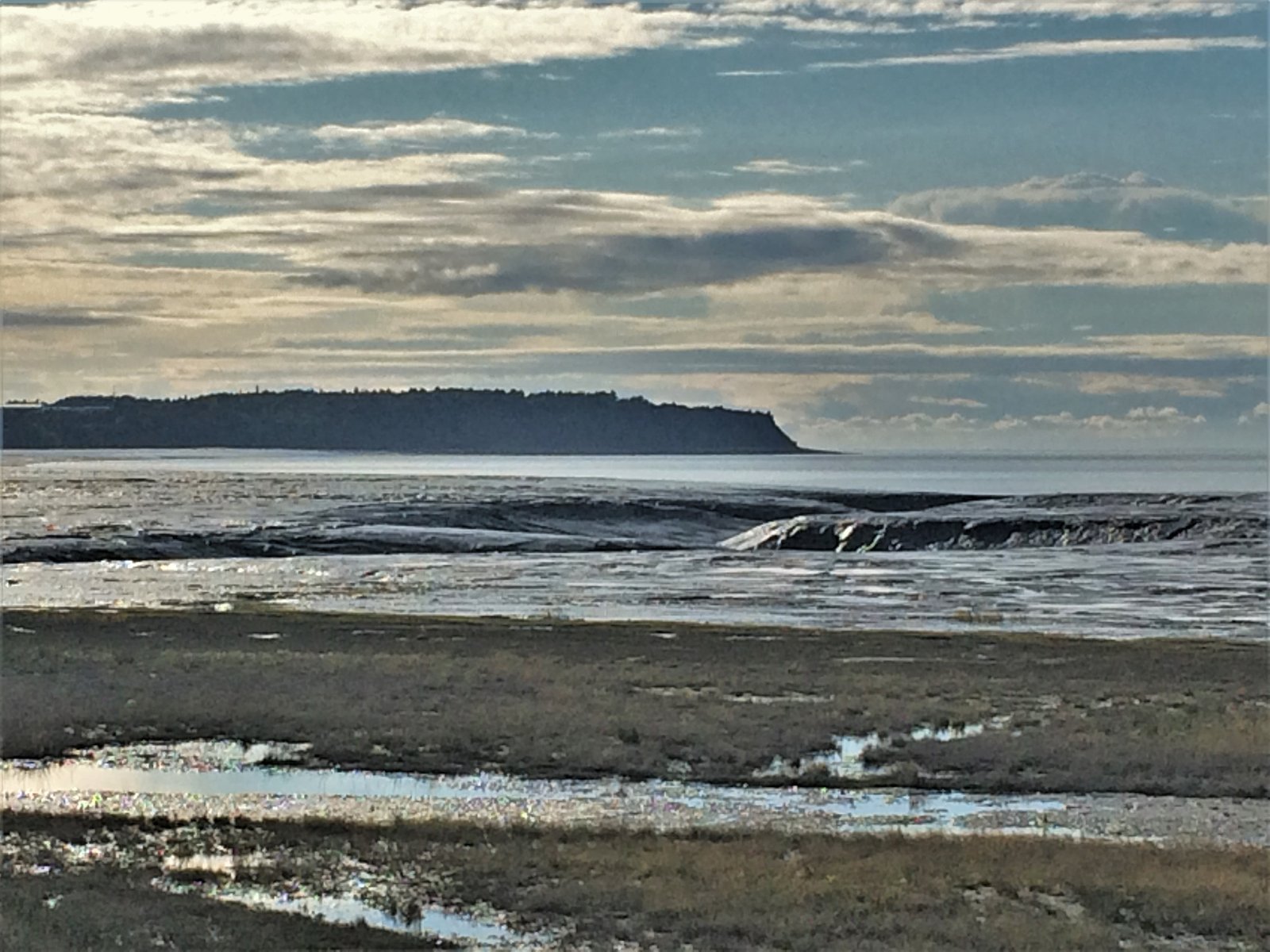Mudflats and coastal waters along Knik Arm, Alaska